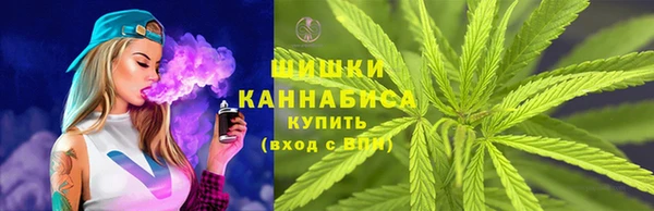прущая мука Арсеньев