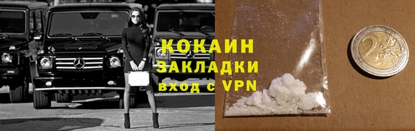 прущая мука Арсеньев