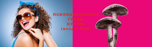 винт Аркадак