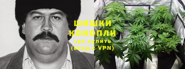 метадон Армянск