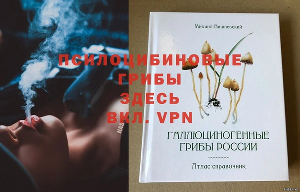 винт Аркадак
