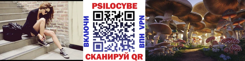 Галлюциногенные грибы Psilocybine cubensis  Пугачёв 