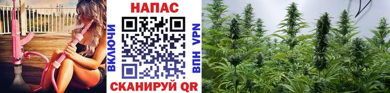 KRAKEN как войти  Пугачёв  Марихуана план 